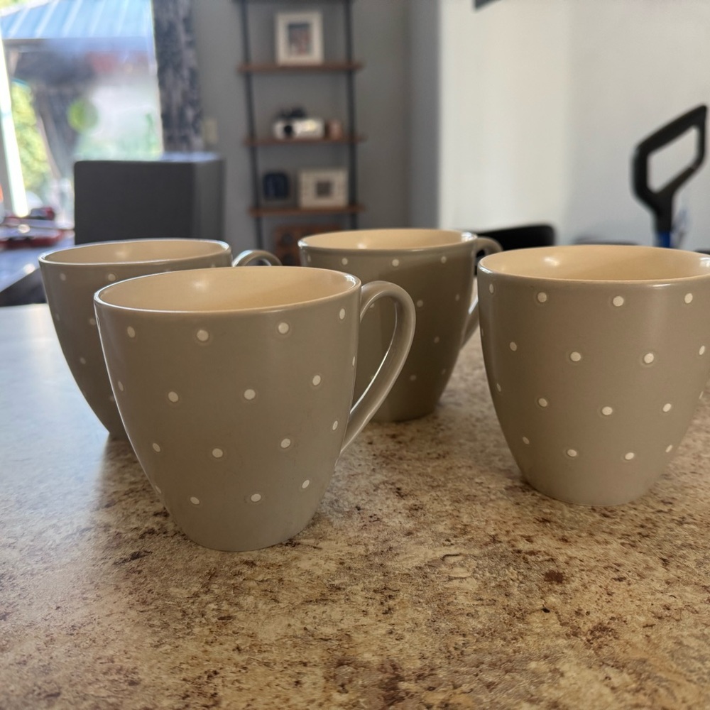 Set of 4 Kate Spade Lenox Polka Dot Gray Mugs